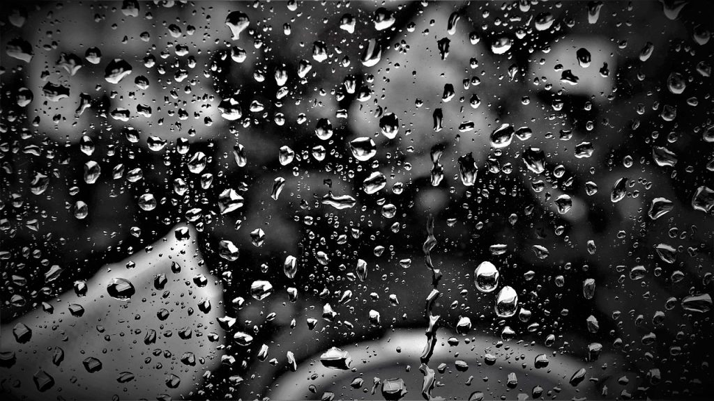 rain, window pane, full hd wallpaper-5159008.jpg