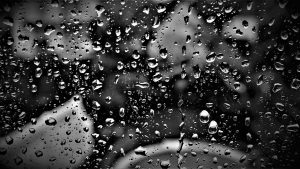 rain, window pane, full hd wallpaper-5159008.jpg